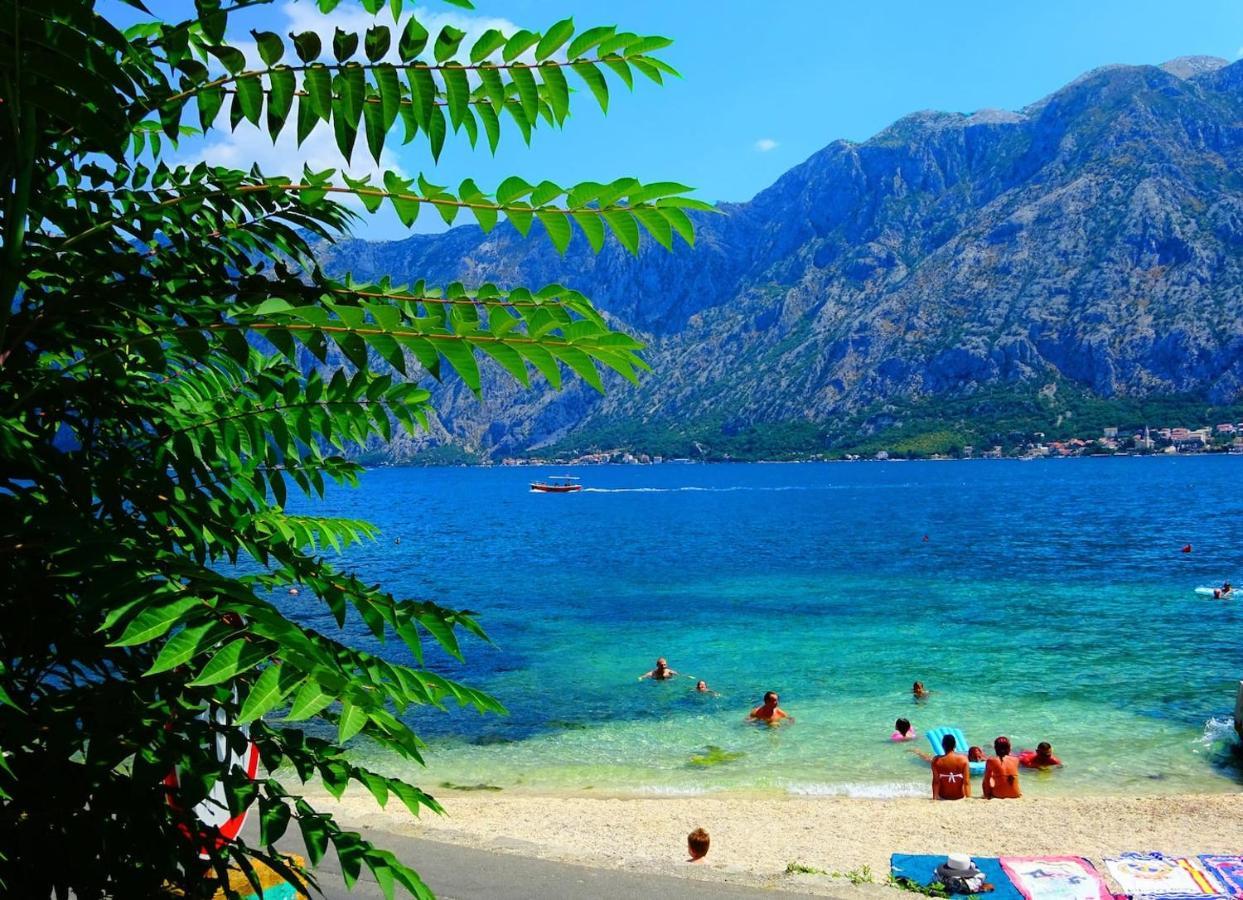 Bay Of Kotor View With Pool Daire Prčanj
